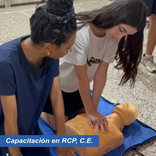 B-19-CE-tallerRCP.webp