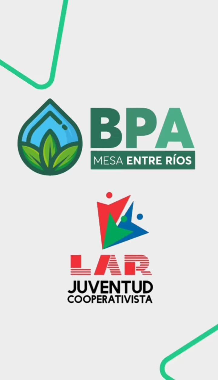 BPA en la juventud