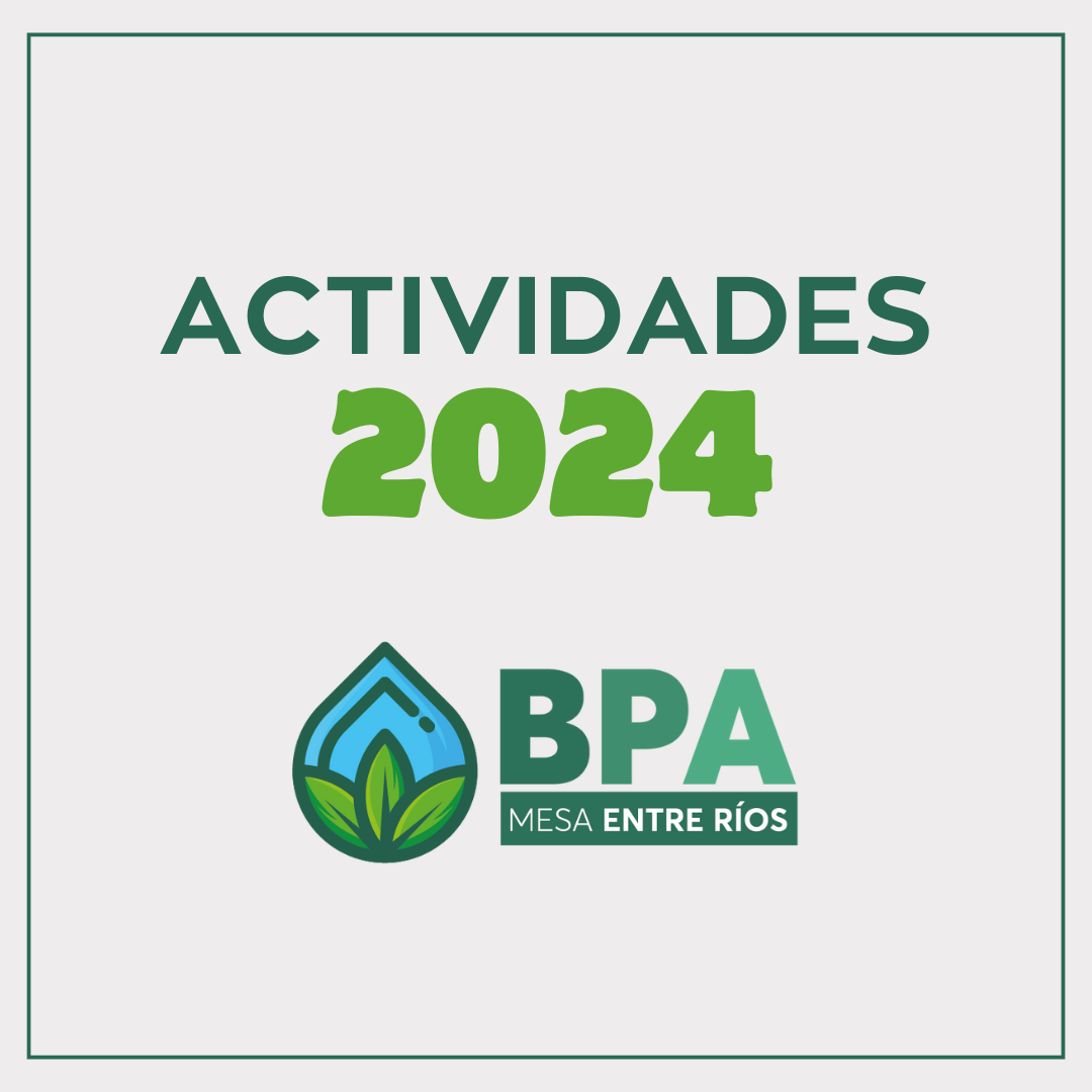 Acciones Llevadas en el Año  2024 por la Mesa BPA-ER.