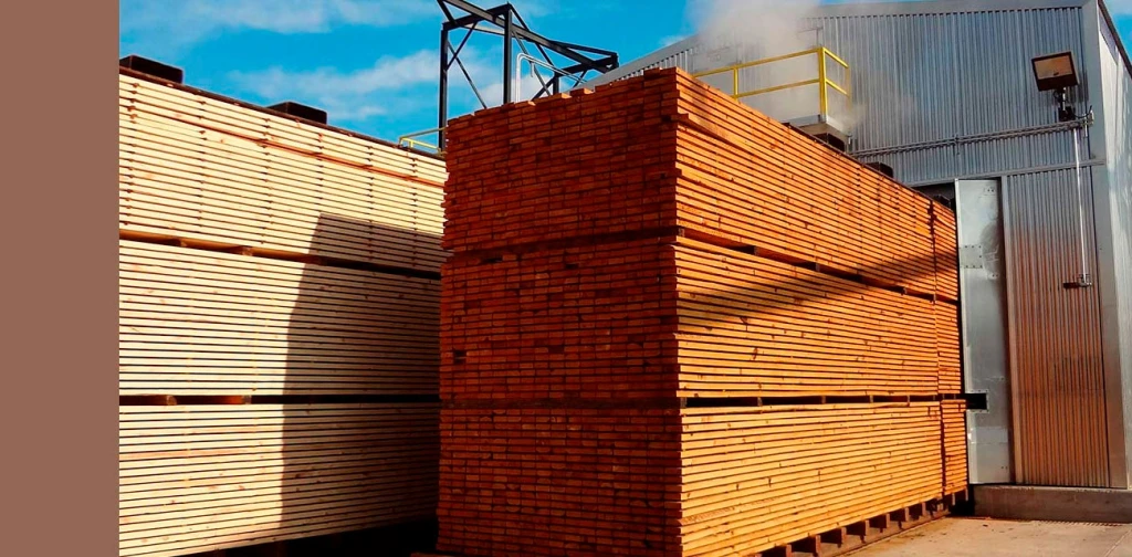 secado-madera.webp