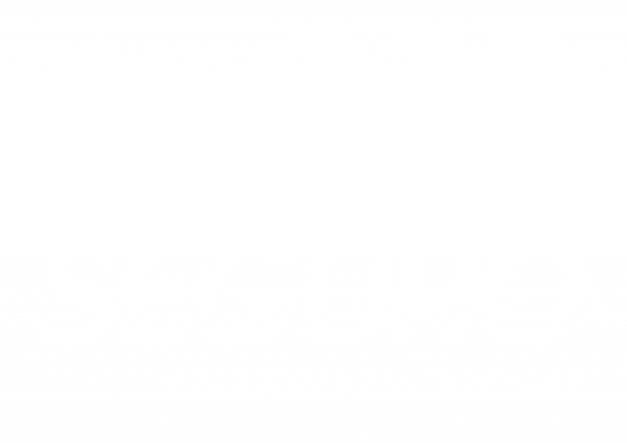 Vector Seguro