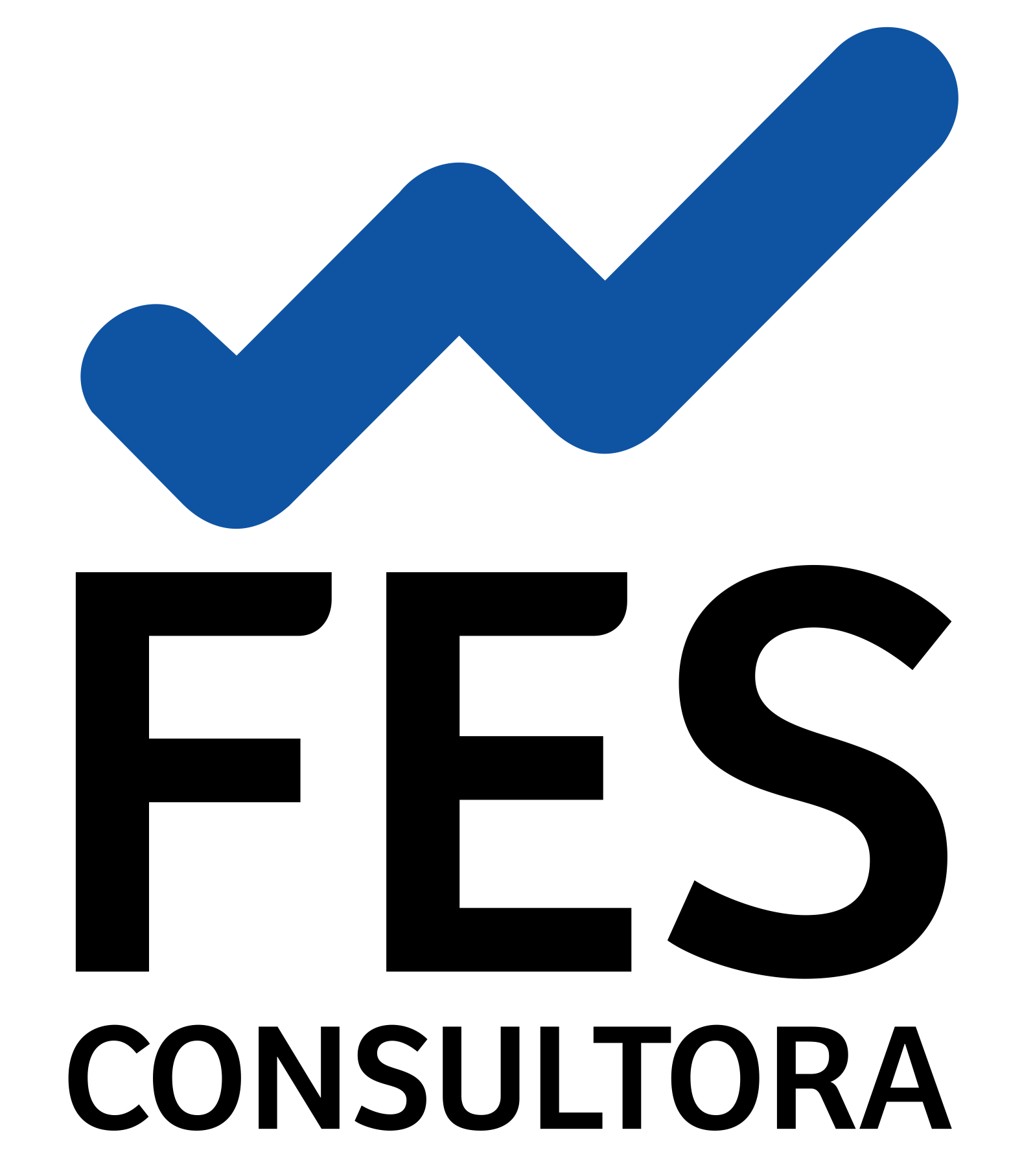 FES CONSULTORA