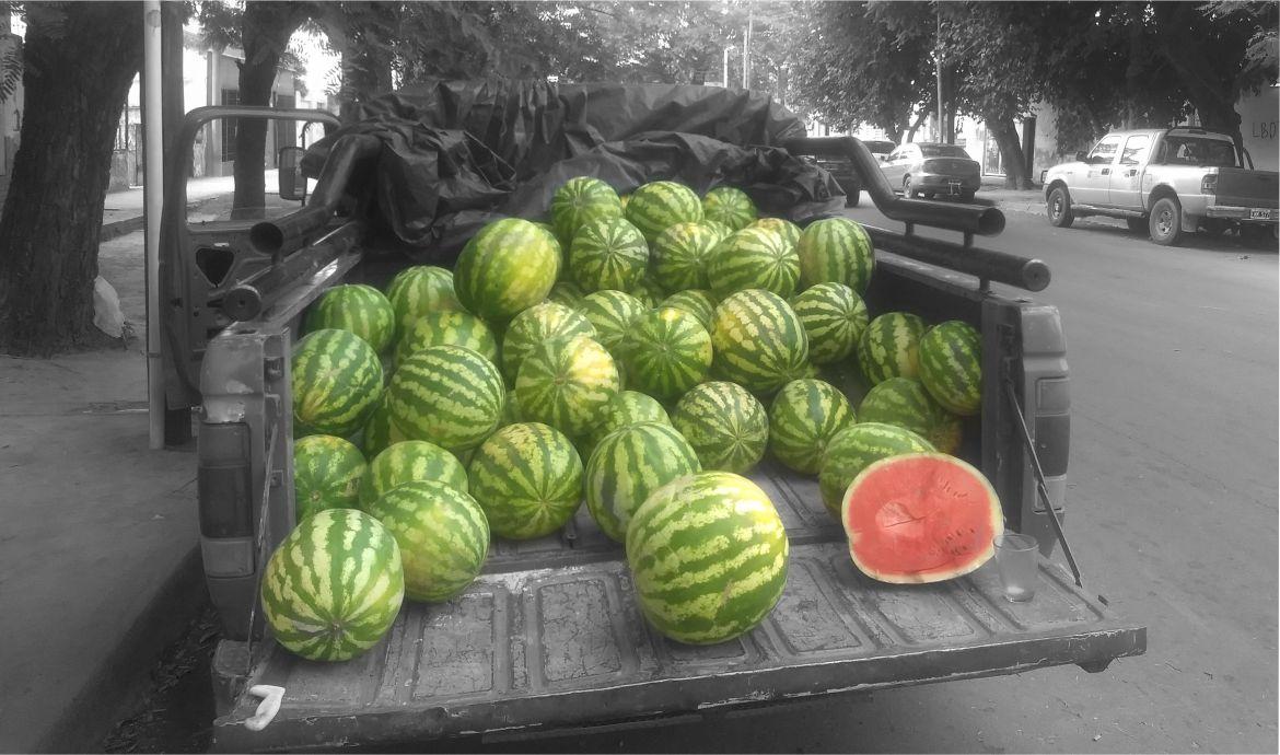 El mundo de la sandia