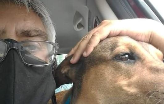 EL FEO, EL MONSTRUO Y EL NARRADOR. Cuaderno de notas para entrar y a caso no salir de Perros de tribunales
