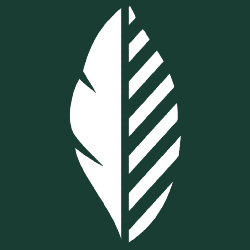 Consultora Sanz Fontana