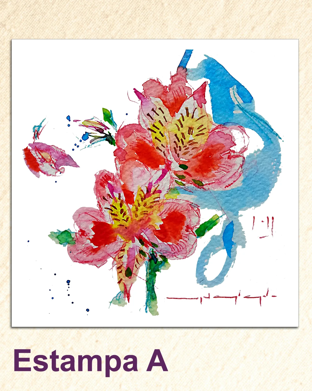 estampaa-(2858).webp