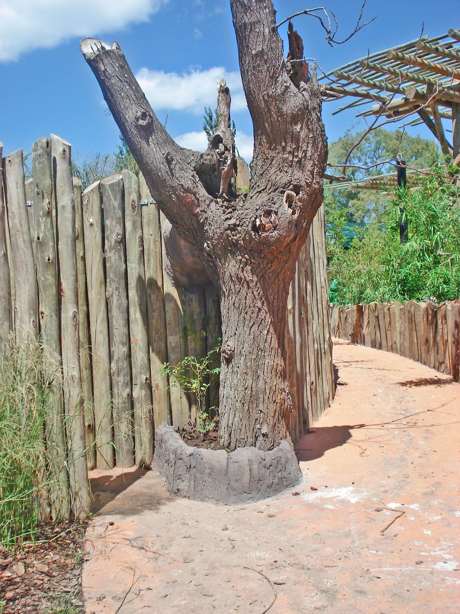 Realización de extensión del árbol para comedero.