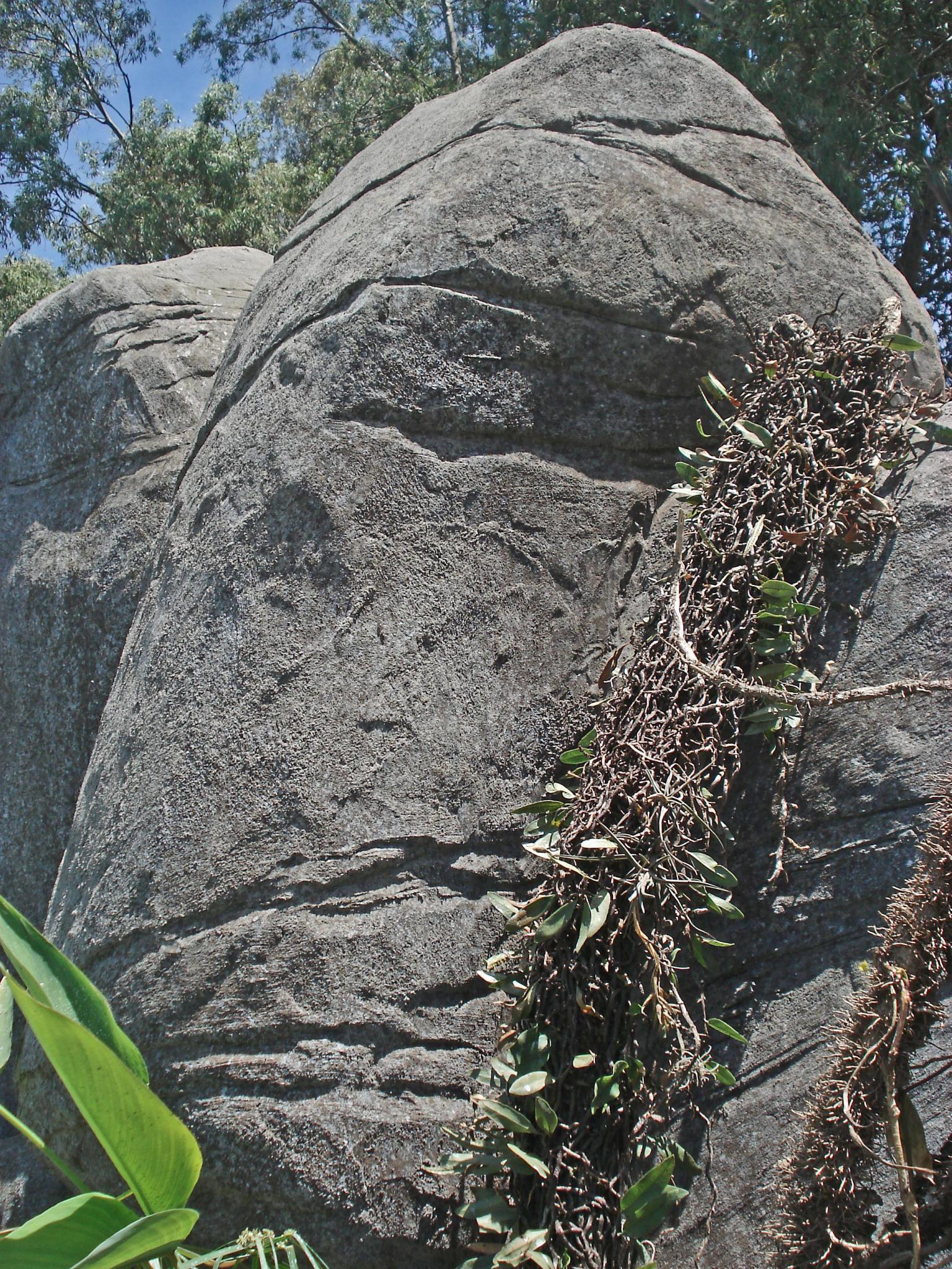 Terminada.