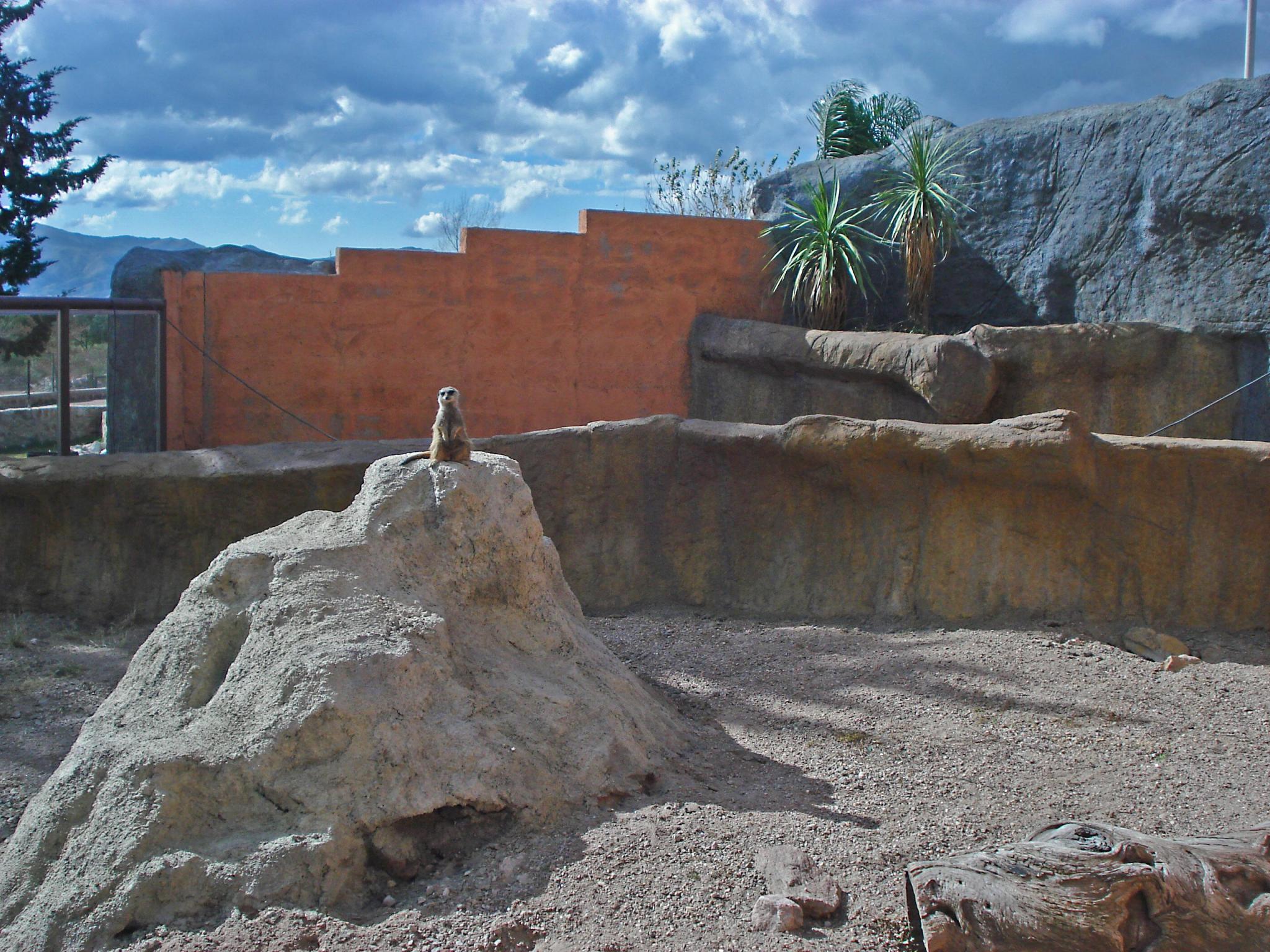 Realización de rocas.