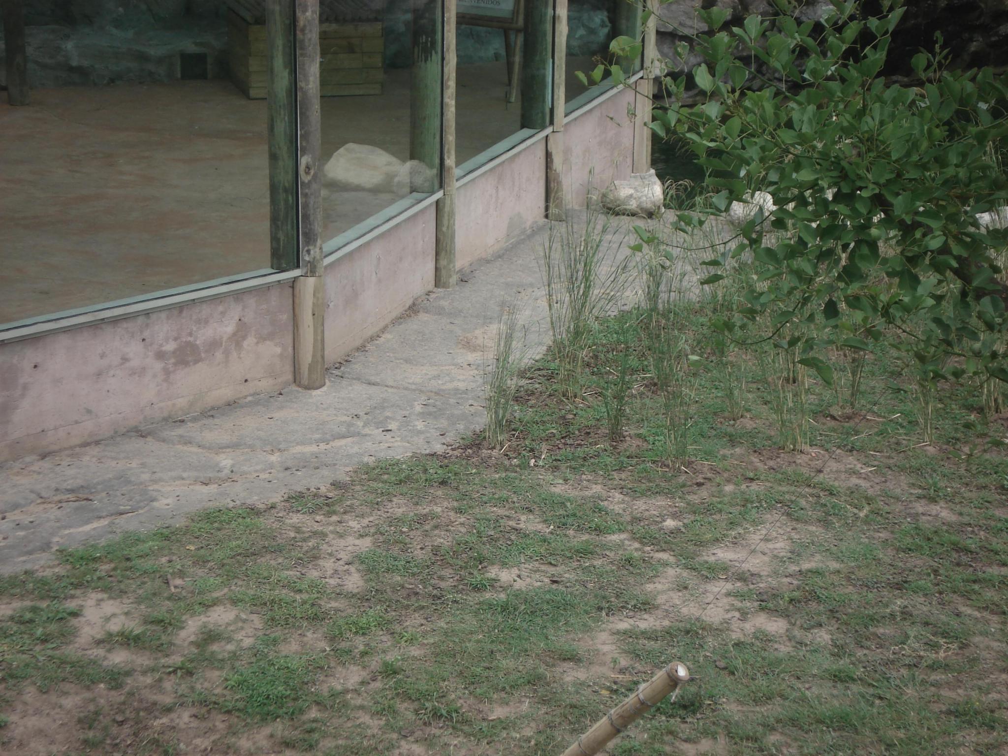 Borde textura