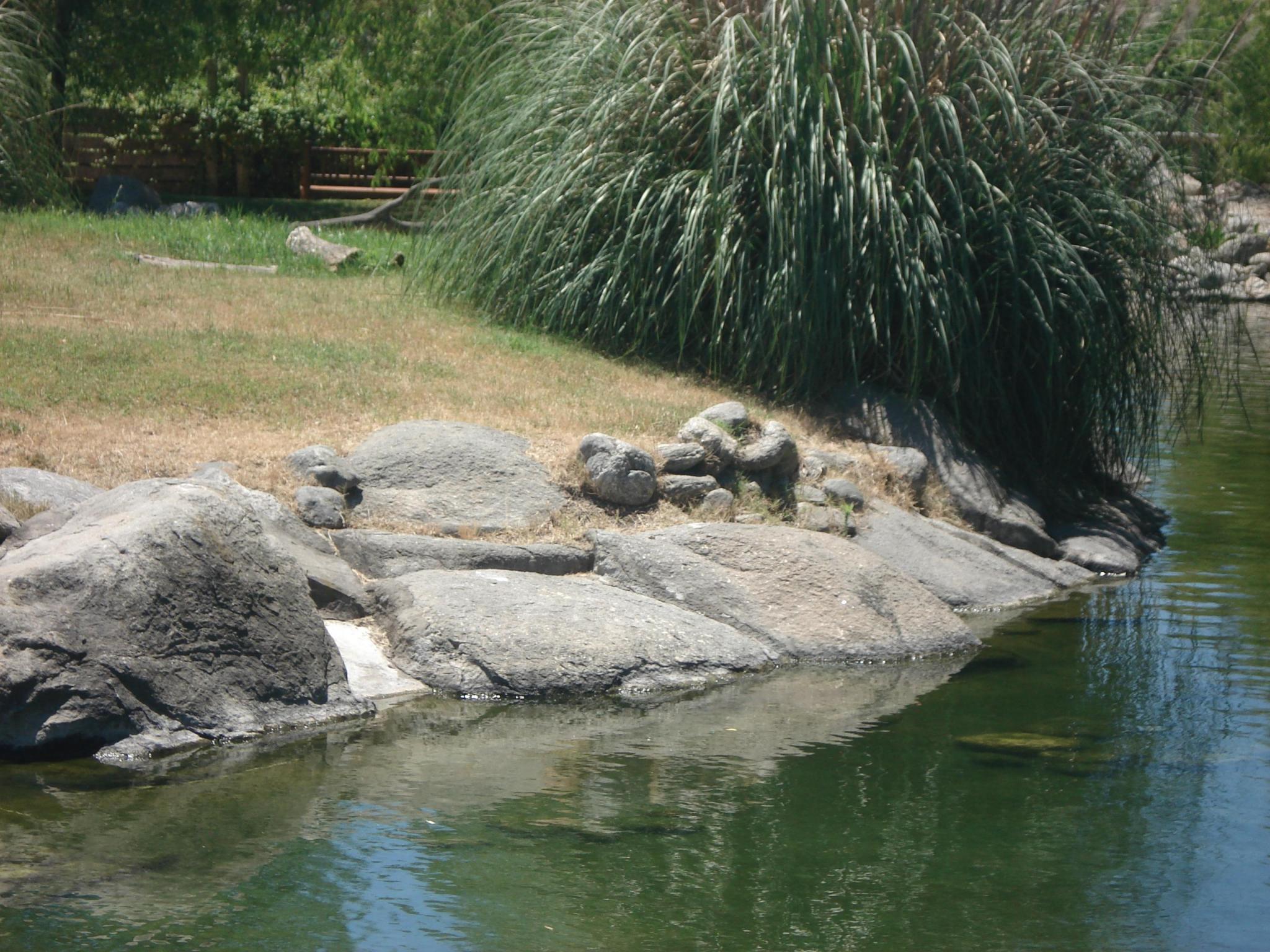 Rocas artificiales