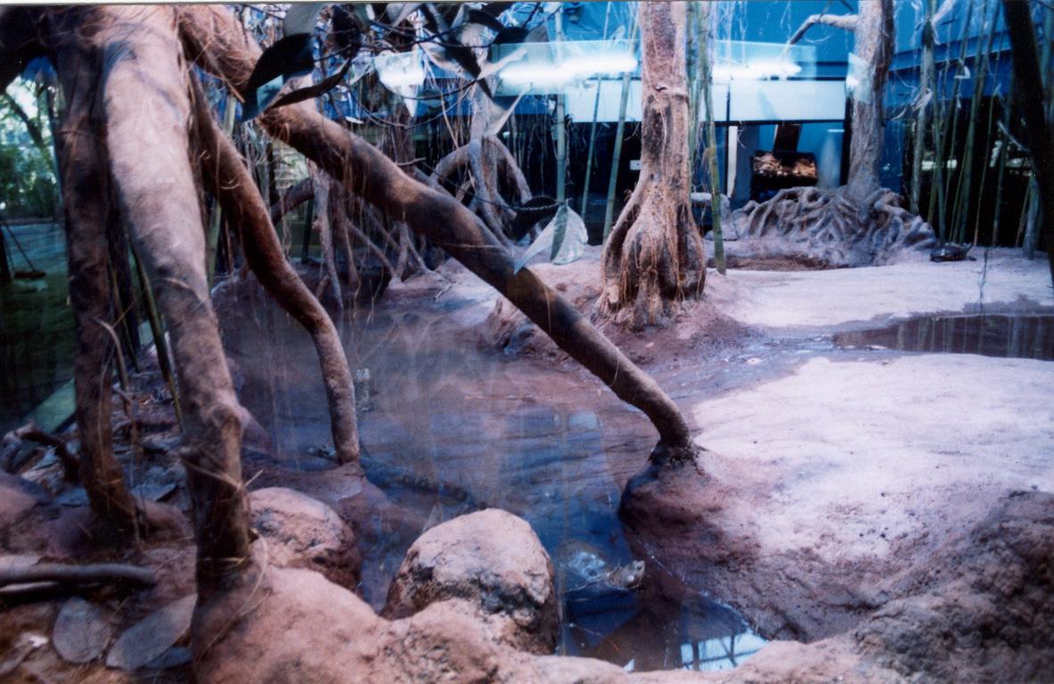 Ambientación con rocas artificiales y costas.