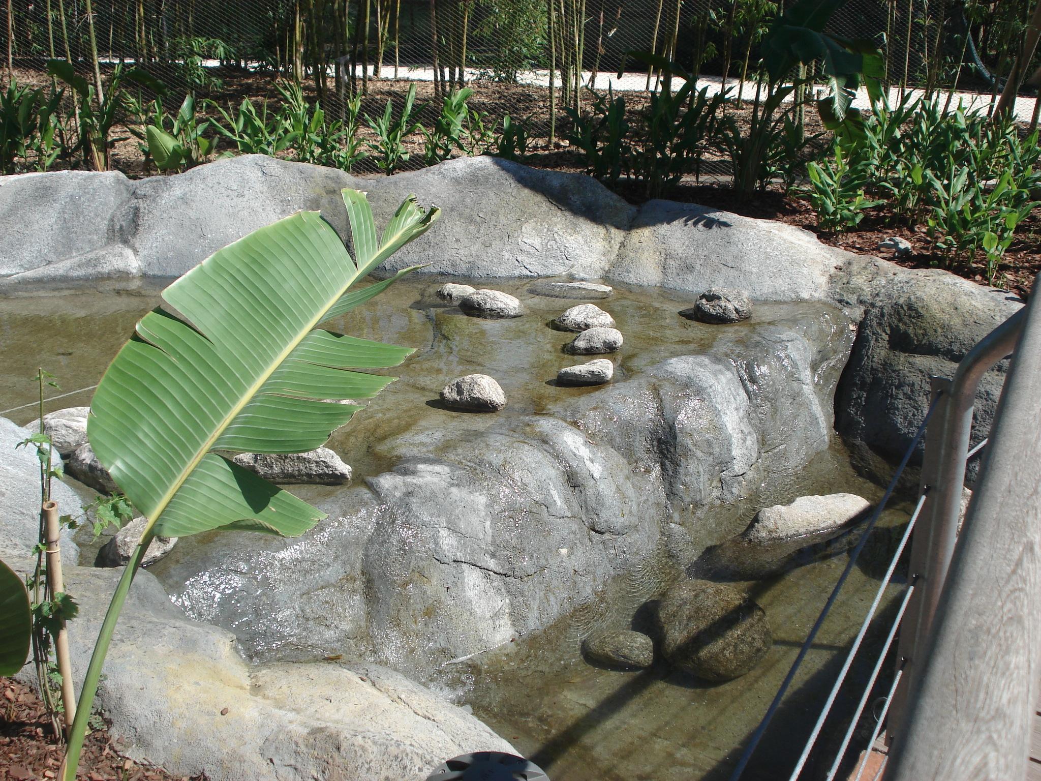 Realización de cascada y rocas.