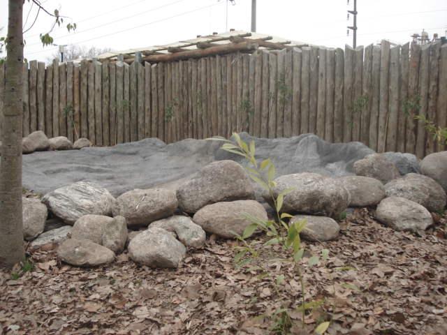 Realización de ambiente para recinto de aves corredoras.