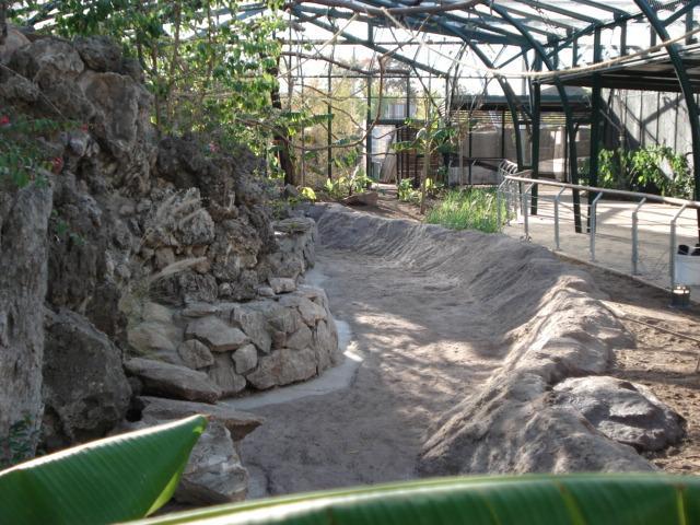 Realización de ambiente para recinto de cacatúas.