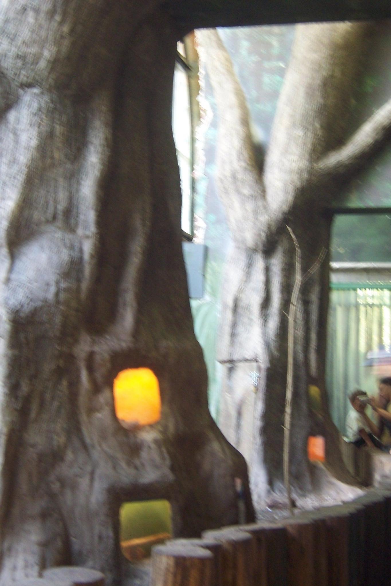 Vista del recinto-árbol.