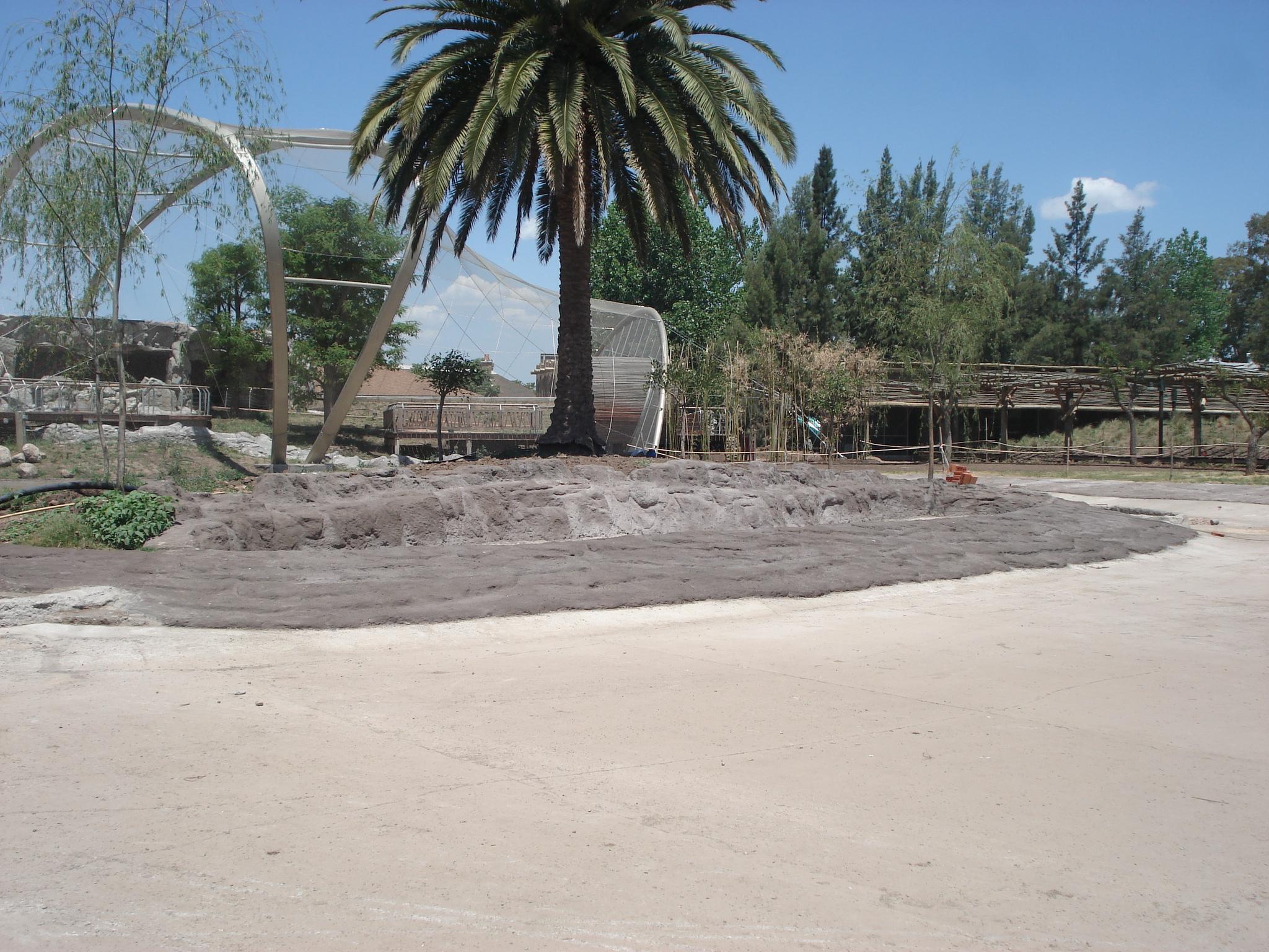 Realización de costas y rocas.