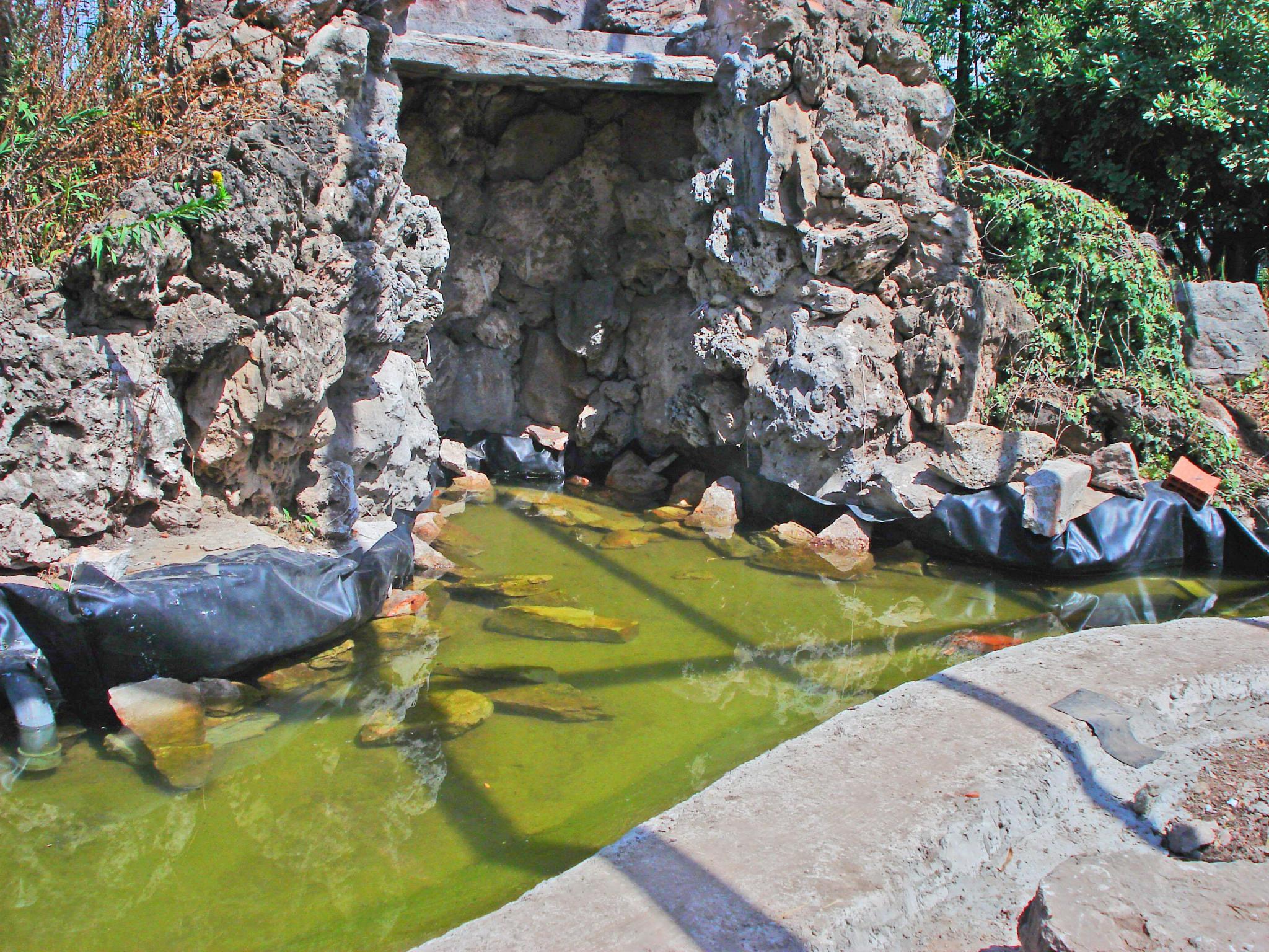 Realización de ambiente para recinto de cacatúas.