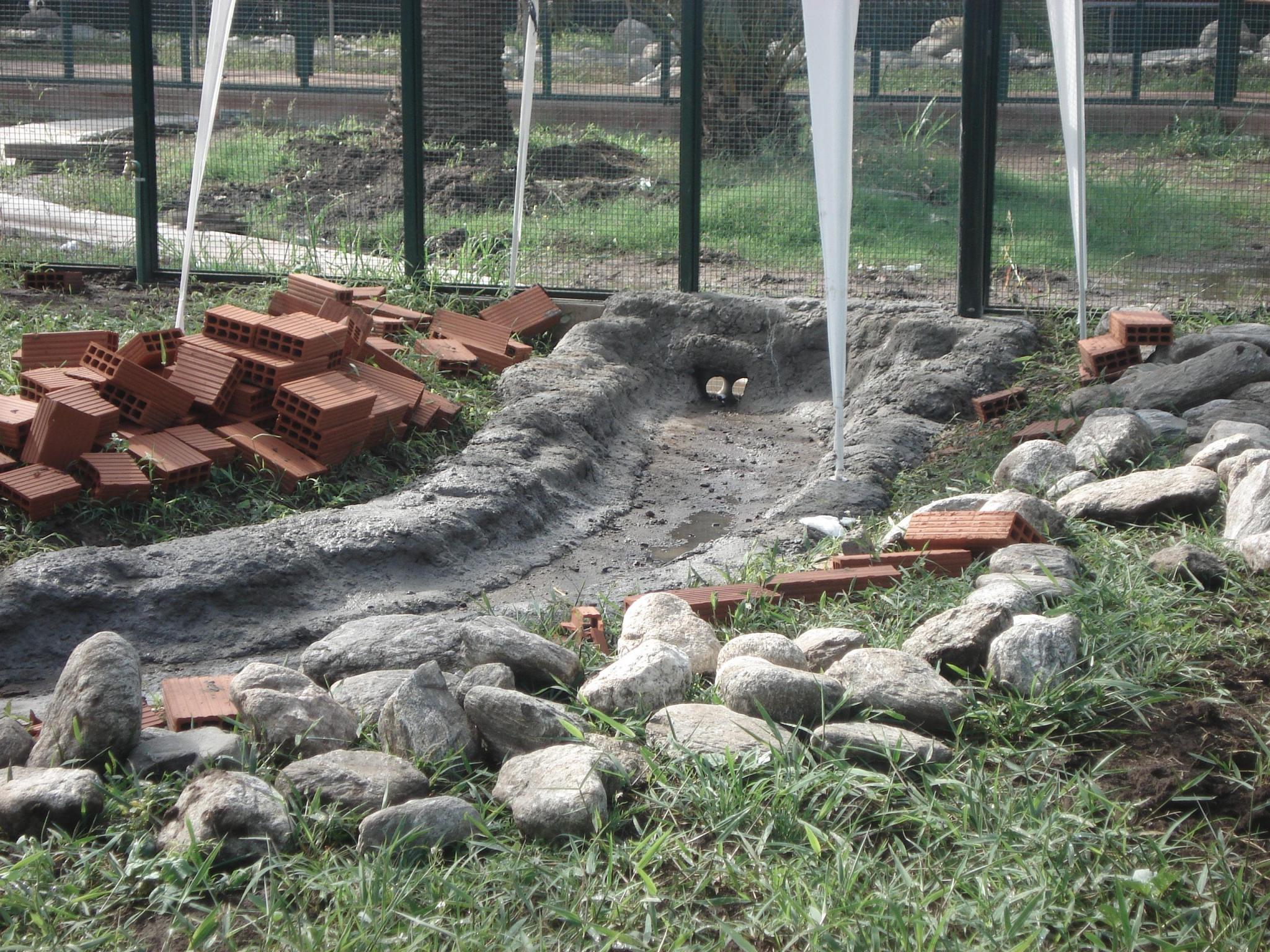 Realización de ambiente para recinto de cacatúas.