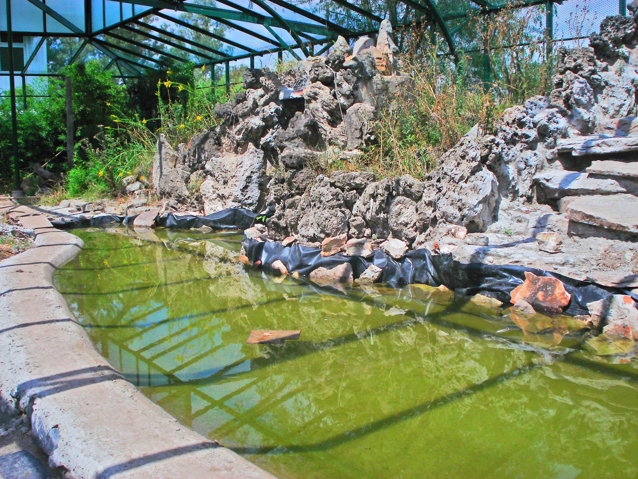 Realización de ambiente para recinto de cacatúas.