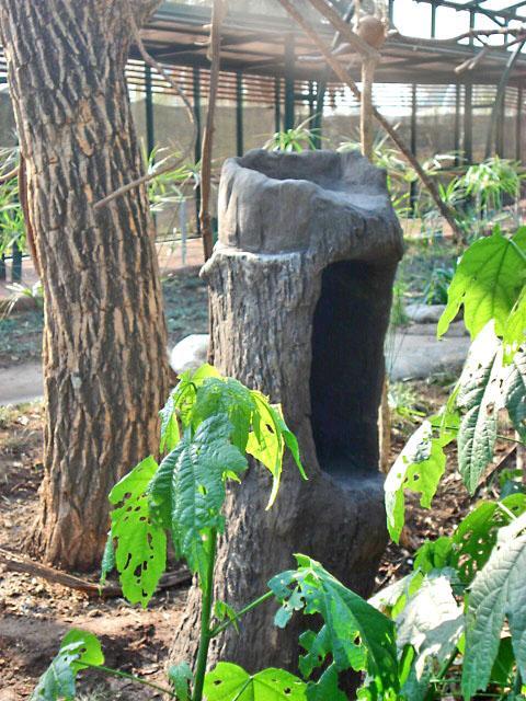 Comederos para aves símil árbol.
