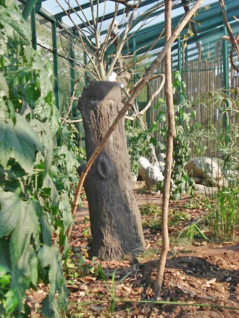Comederos para aves símil árbol.