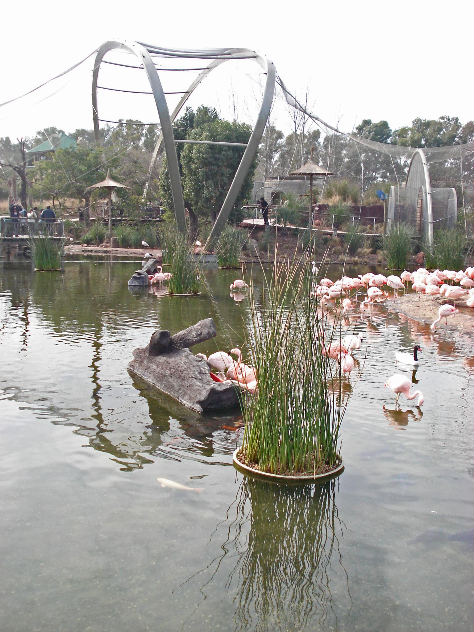 Comederos para aves símil tronco.