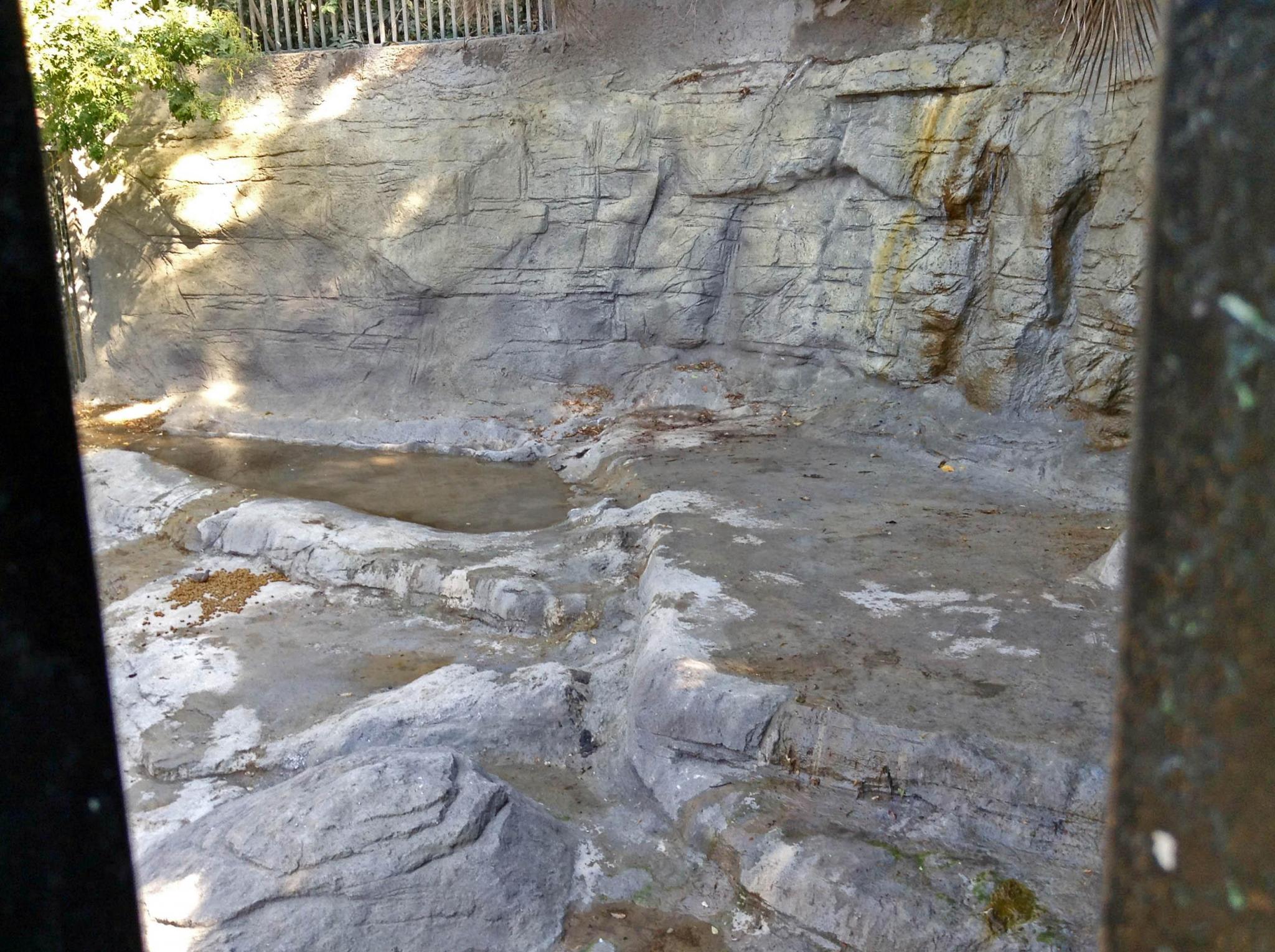 Textura de rocas.