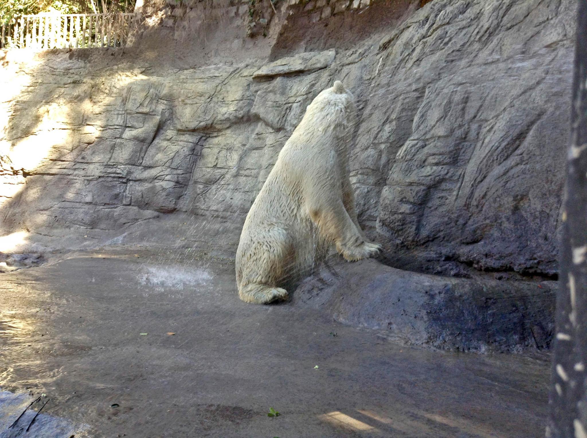 Textura de rocas.