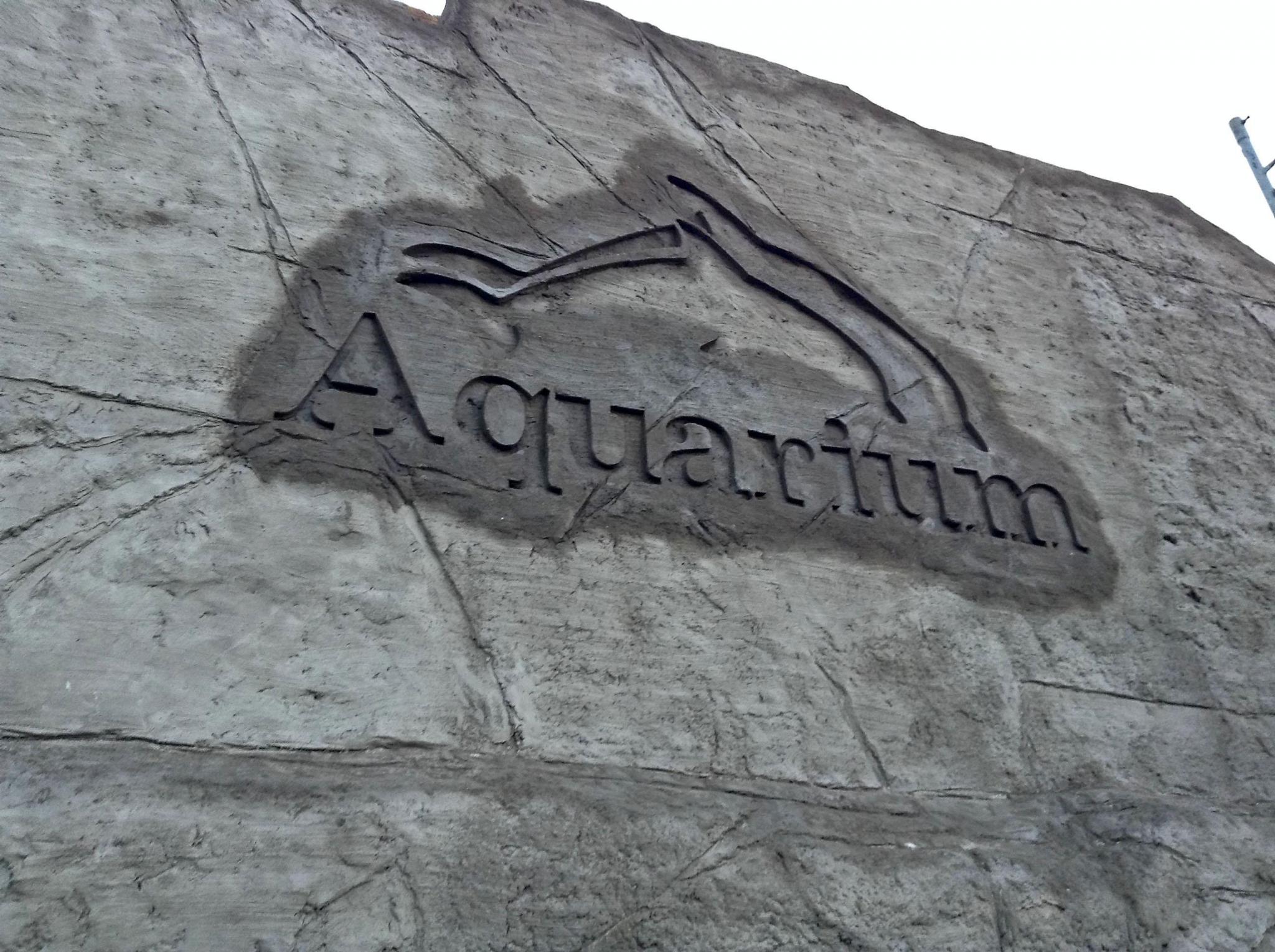 Textura e isologotipo sobre roca