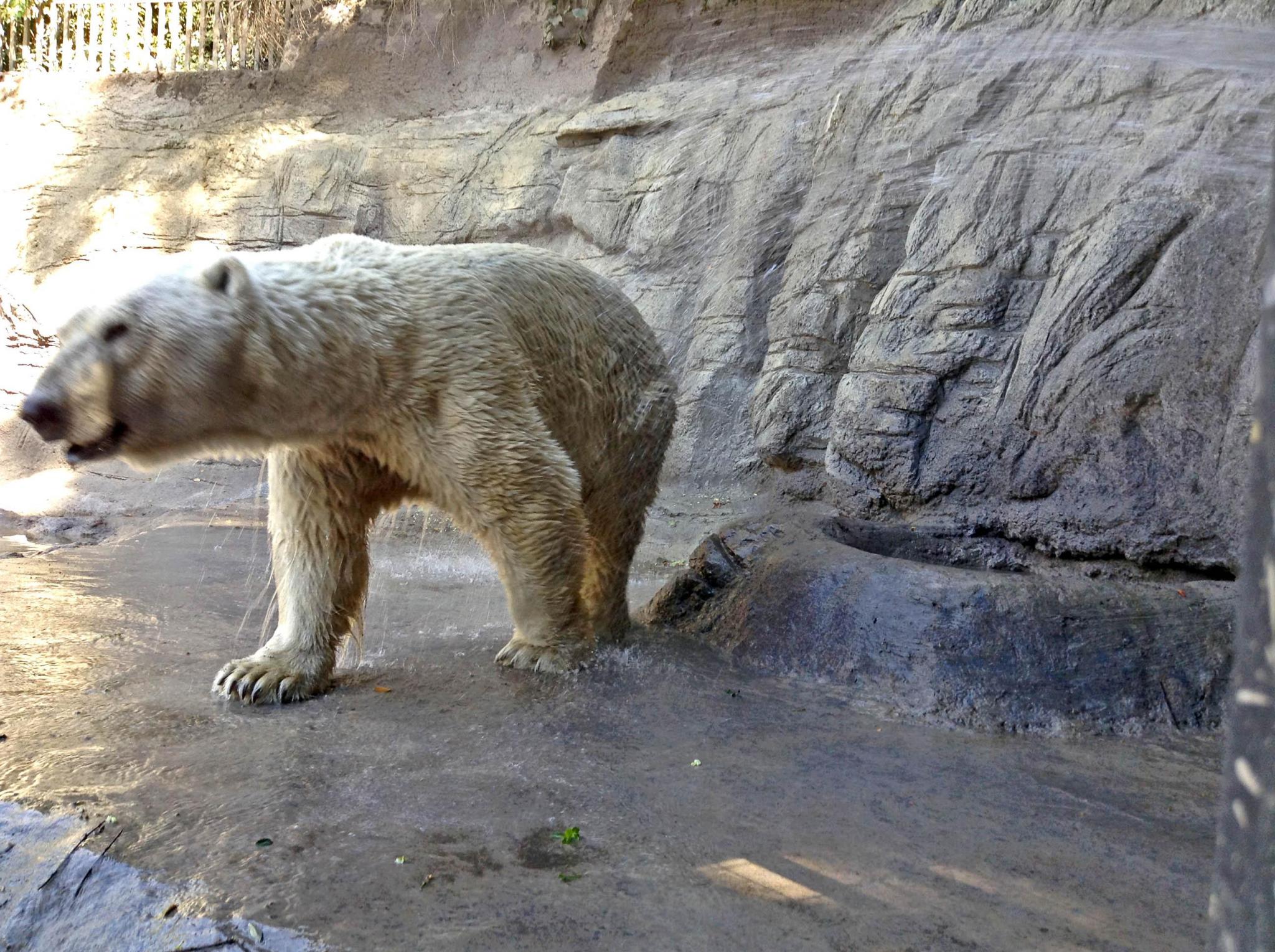 Textura de rocas.