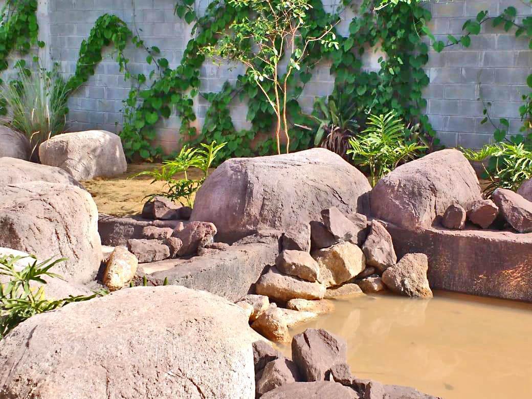 Rocas artificiales, borde y cascada
