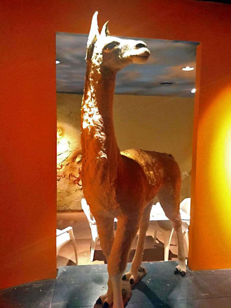 Réplica de guanaco realizado por Quique.