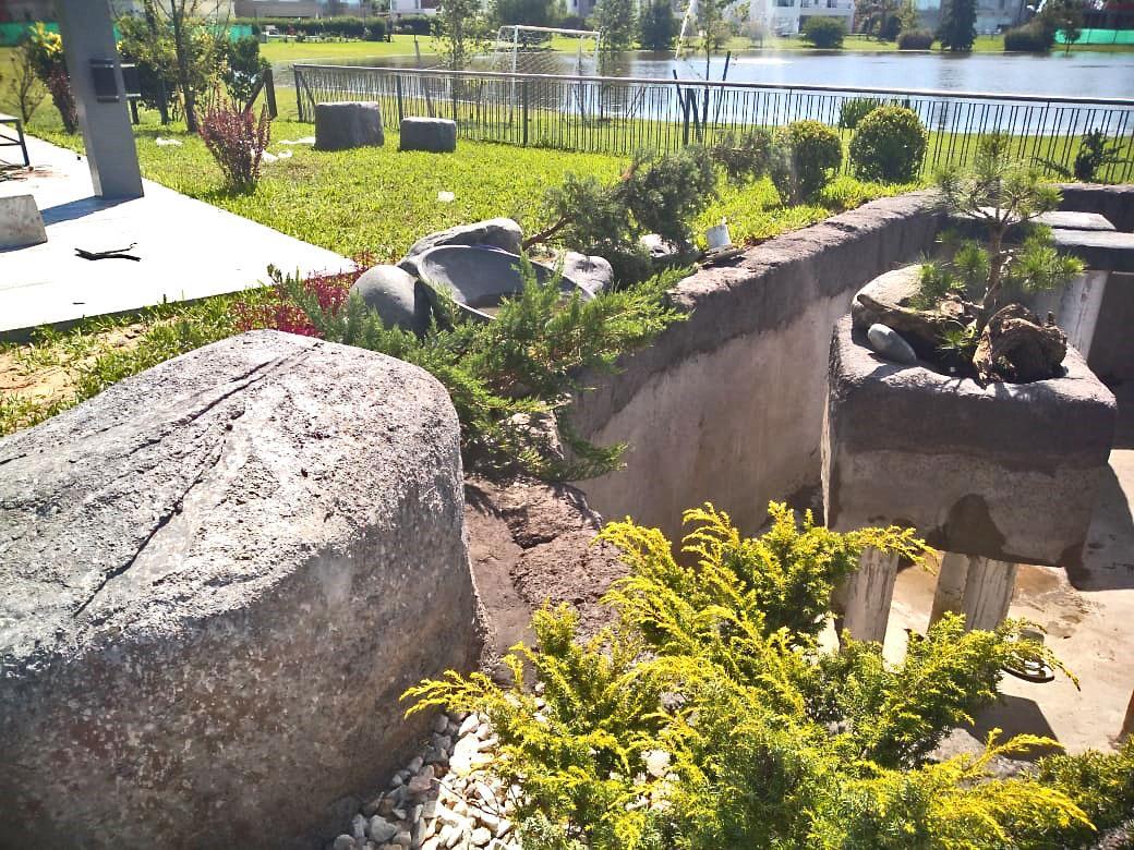 Realización de rocas y texturas