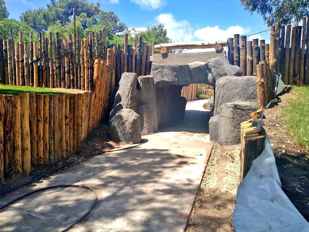 Realización de rocas y textura.