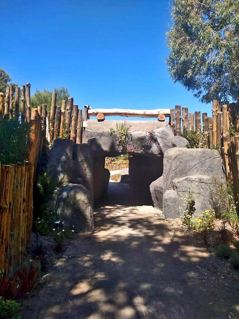 Realización de rocas y textura.