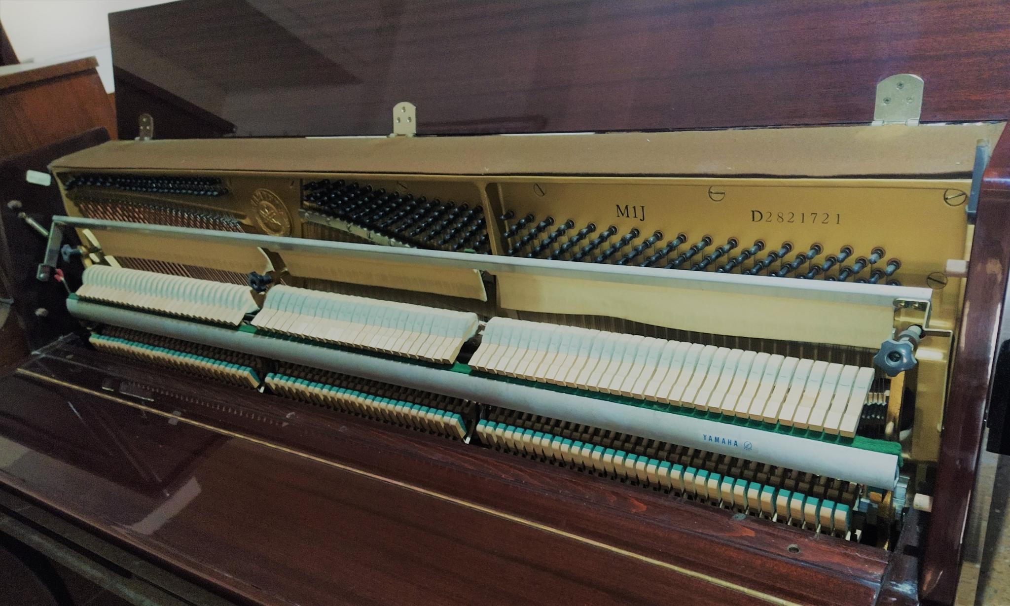 Yamaha M1 