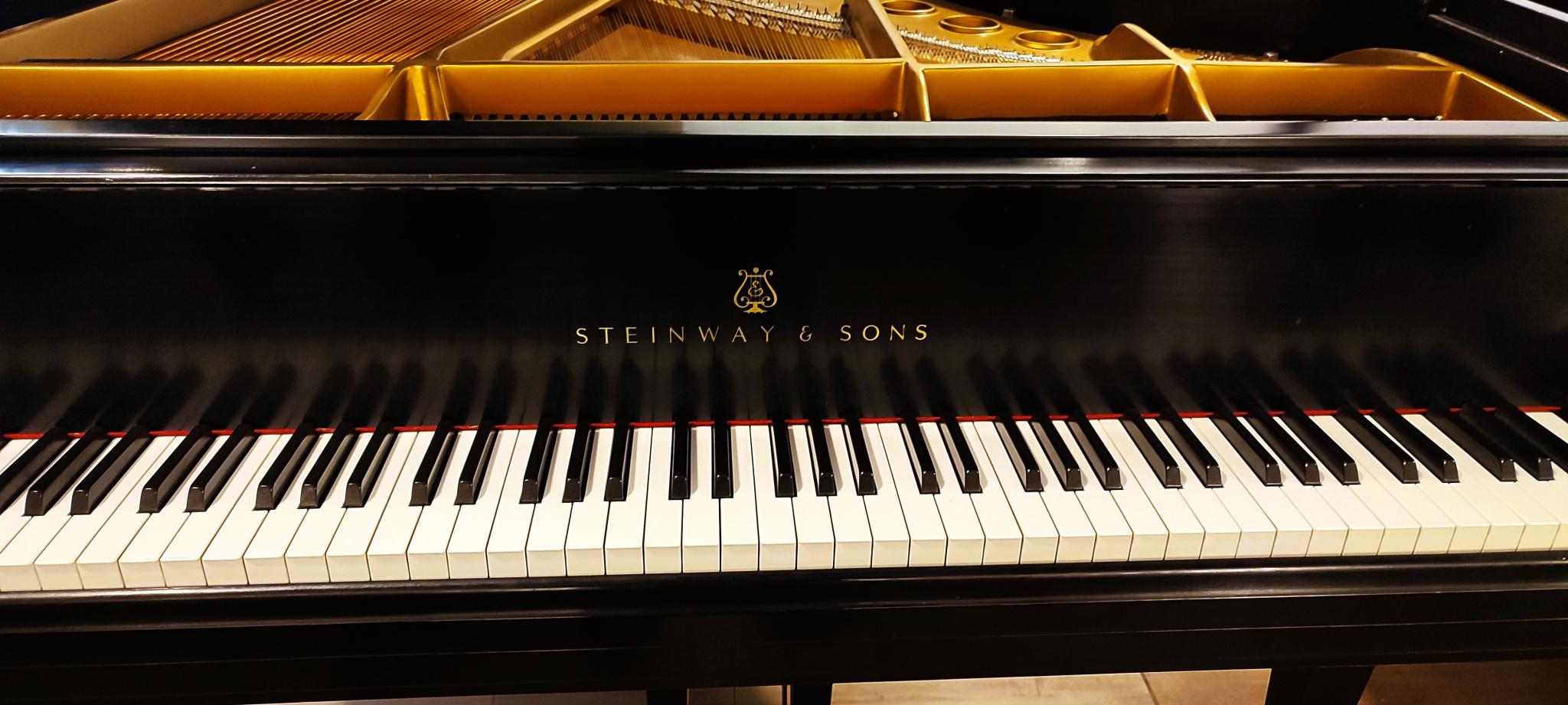 Steinway S f