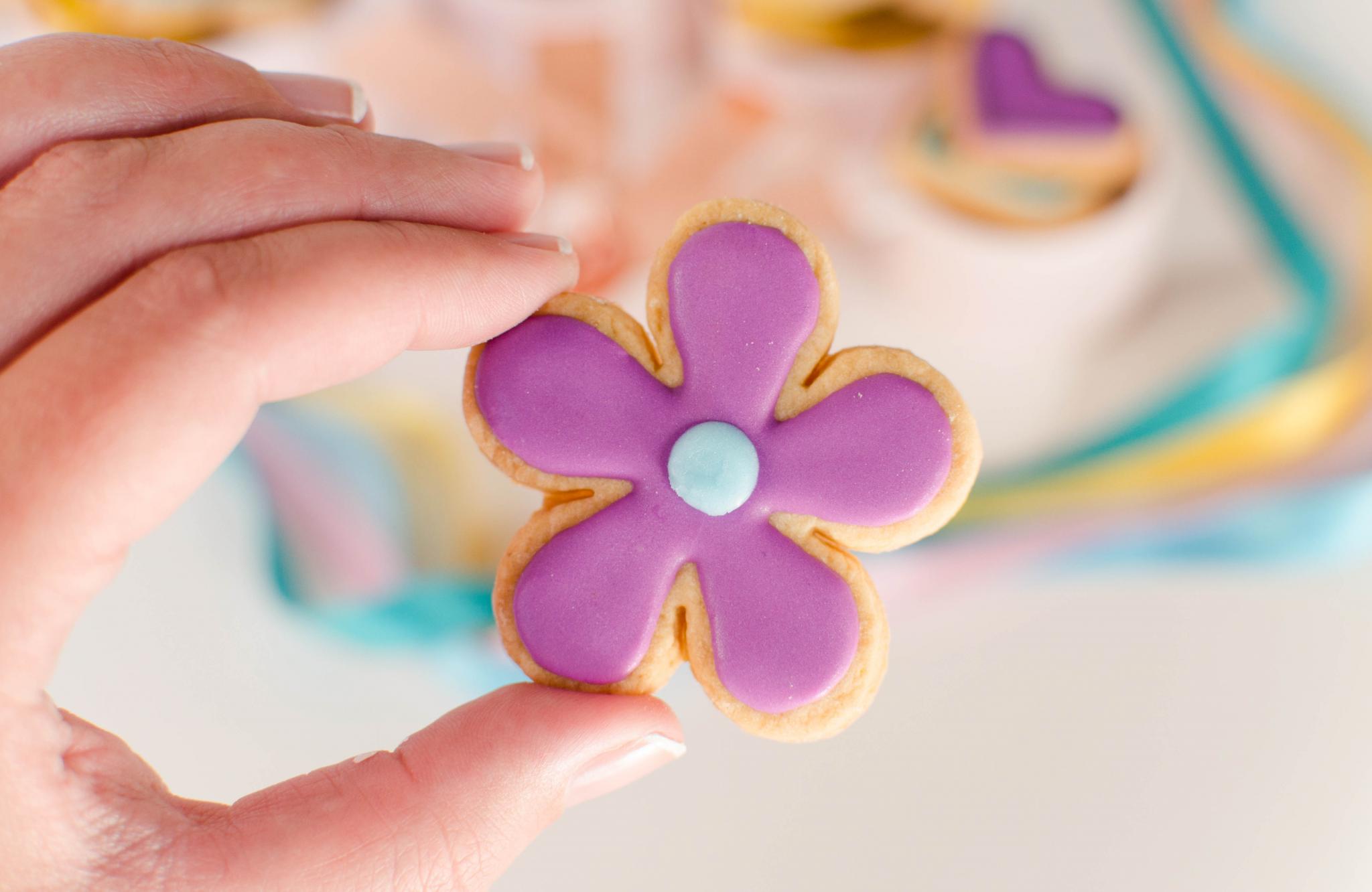 conservacion cookies