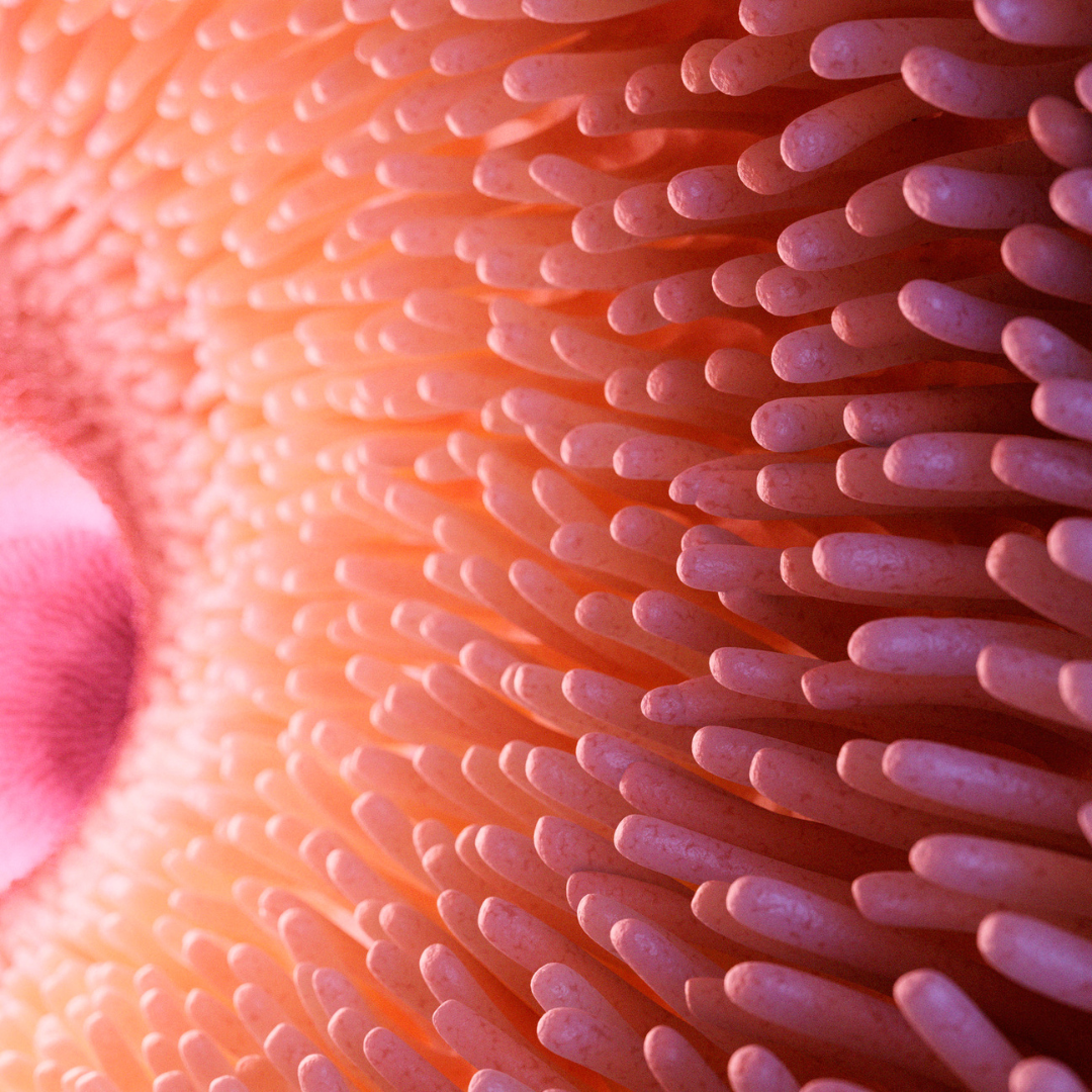 Acupuntura, microbiota y Fertilidad.
