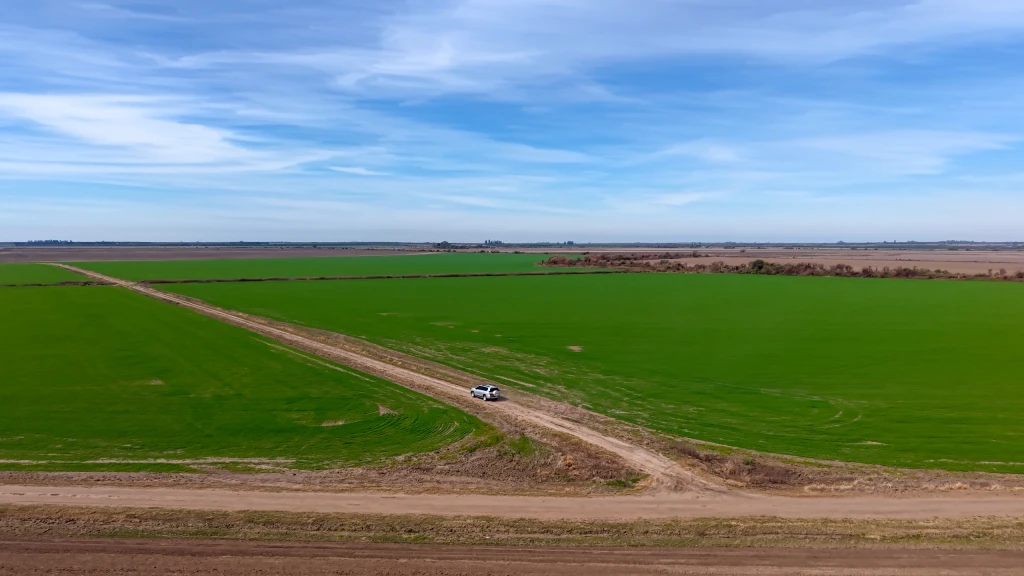 Campo agrícola con vegetación bajo cielo despejado en Entre Ríos