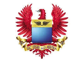 fuerzaaerea.webp