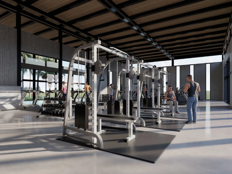 14.webp