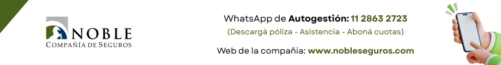 51.webp