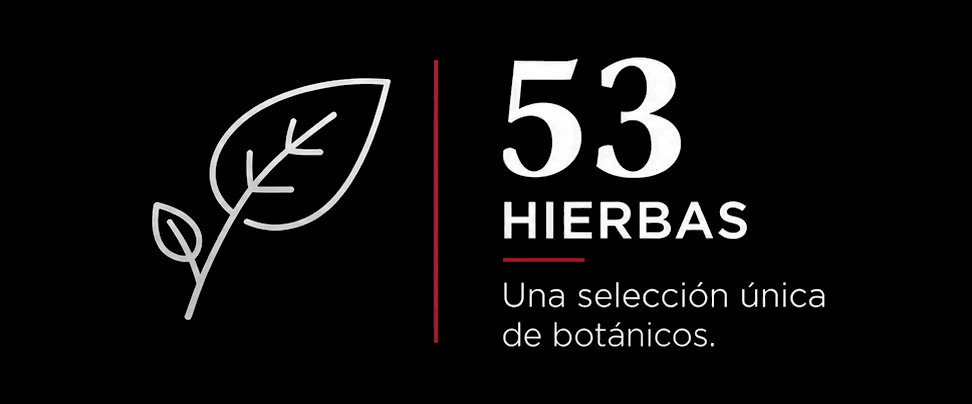 Nero5353HierbasFondoNegroTamanoOriginal.webp