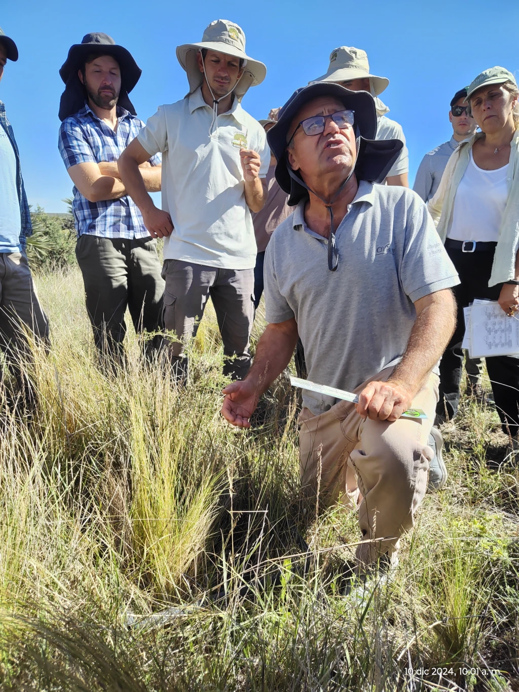 agricultura regenerativa