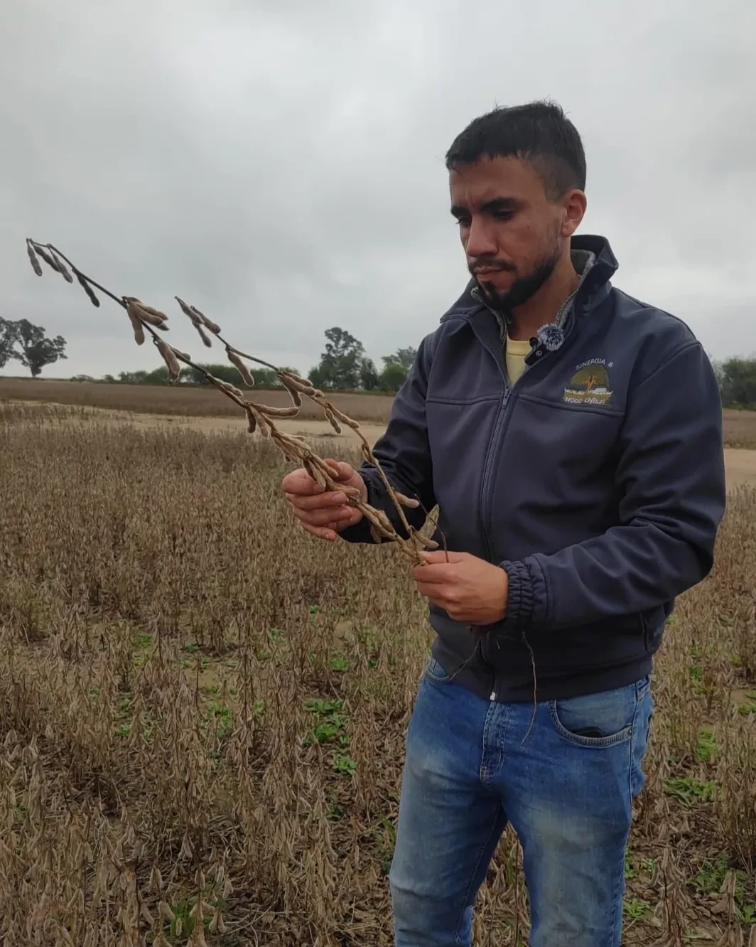 agricultura regenerativa