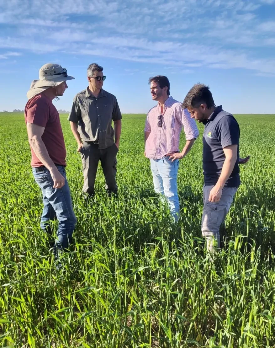 agricultura regenerativa