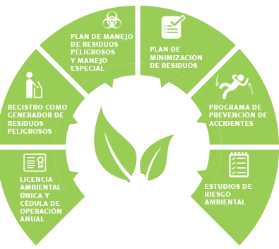 agricultura regenerativa