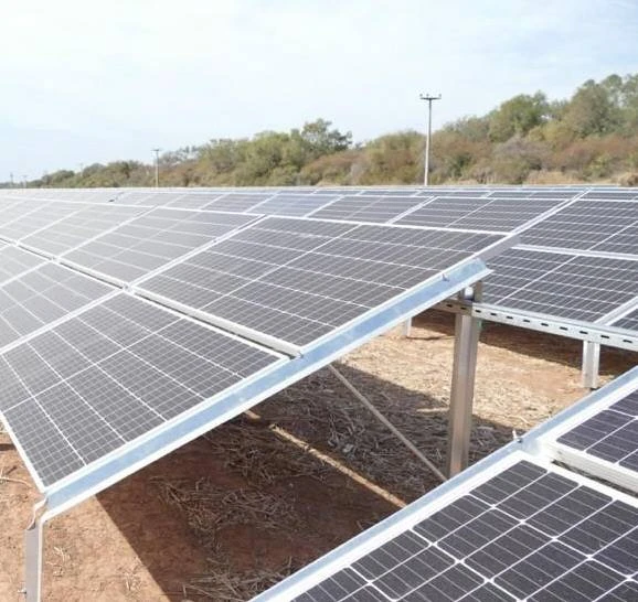 Manejo hol&iacute;stico y agricultura regenerativa: un modelo rentable